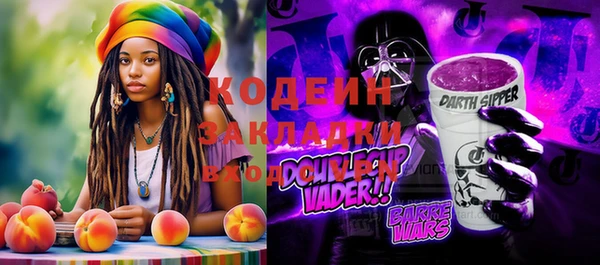 дурь Арсеньев