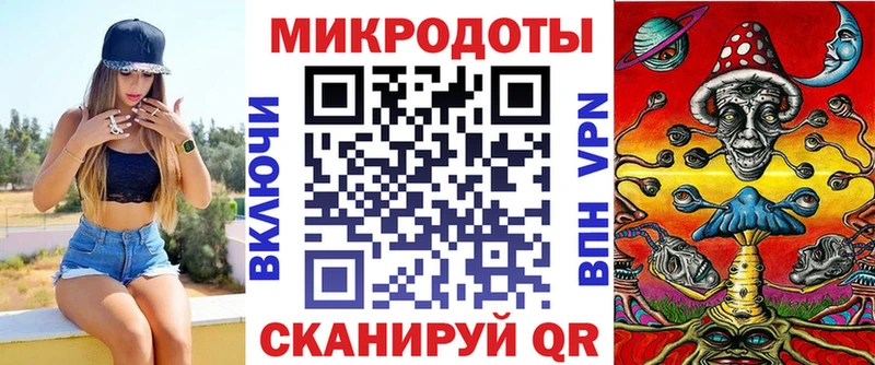 Псилоцибиновые грибы Psilocybe  Советск 