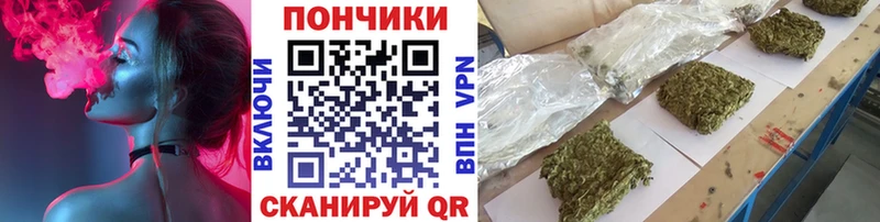 Бошки Шишки гибрид  Советск 
